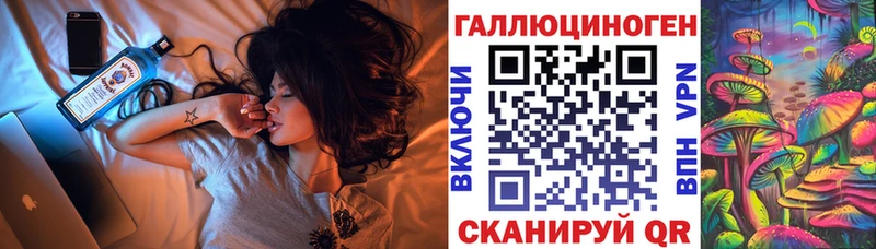 Галлюциногенные грибы Psilocybine cubensis где купить наркотик Кимры